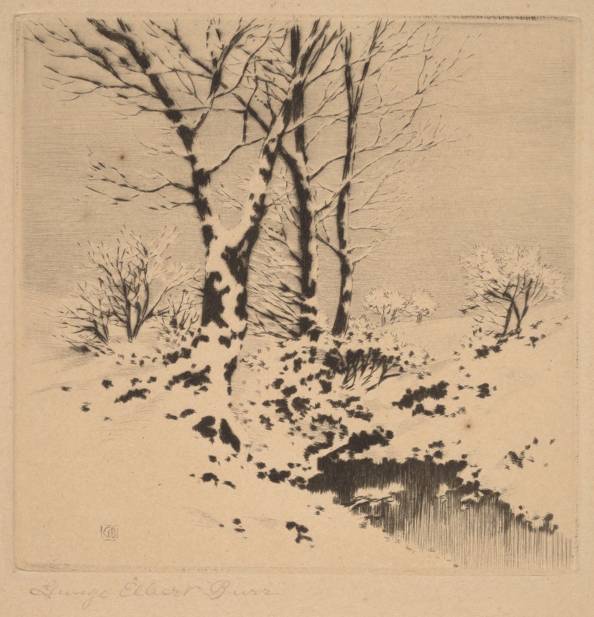Lumi tekijältä George Elbert Burr