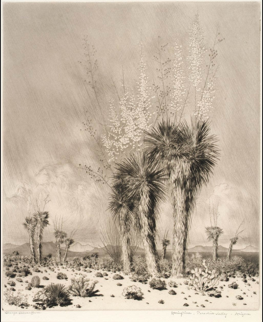 Kevät, Paradise Valley, Arizona tekijältä George Elbert Burr