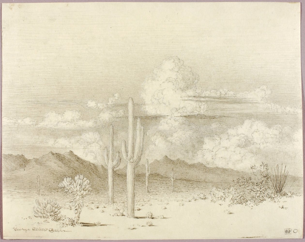 Nimetön (siirtopiirros teosta Ilta, Paradise Valley, Arizona varten) tekijältä George Elbert Burr