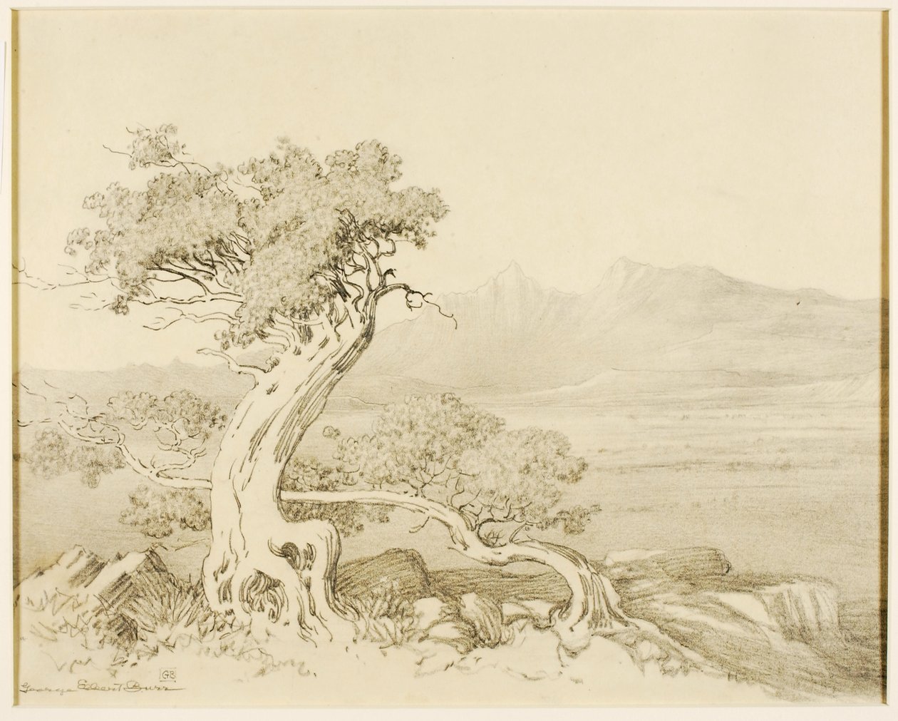 Untitled (siirtopiirustus Old Cedars and Spanish Peaks -teoksesta) tekijältä George Elbert Burr