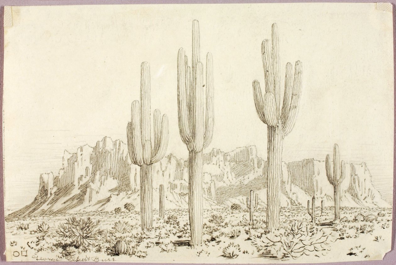 Untitled tekijältä George Elbert Burr