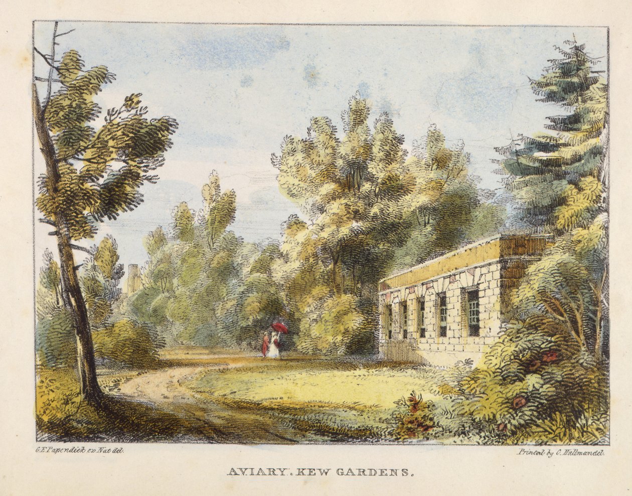 Aviary, Kew Gardens, levy 10 Kew Gardens: A Series of Twenty-Four Drawings on Stone, kaiverrettu Charles Hullmandel (1789-1850), julkaistu 1820 (käsinvärinen litho) tekijältä George Ernest after Papendiek