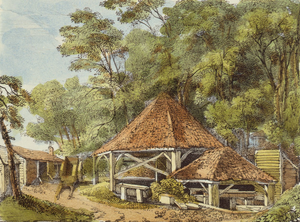 Water Works, Kew Gardens, levy 22 Kew Gardensilta: Sarja 24 piirustusta kiveen, kaivertanut Charles Hullmandel (1789-1850), julkaistu 1820 (käsinvärinen lito) tekijältä George Ernest after Papendiek