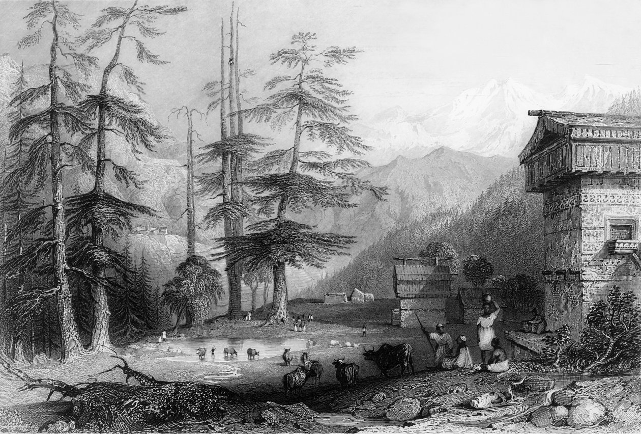"Kogheran kylä ja Deodar Forest, lähellä Chooria", 1838. tekijältä George Francis White