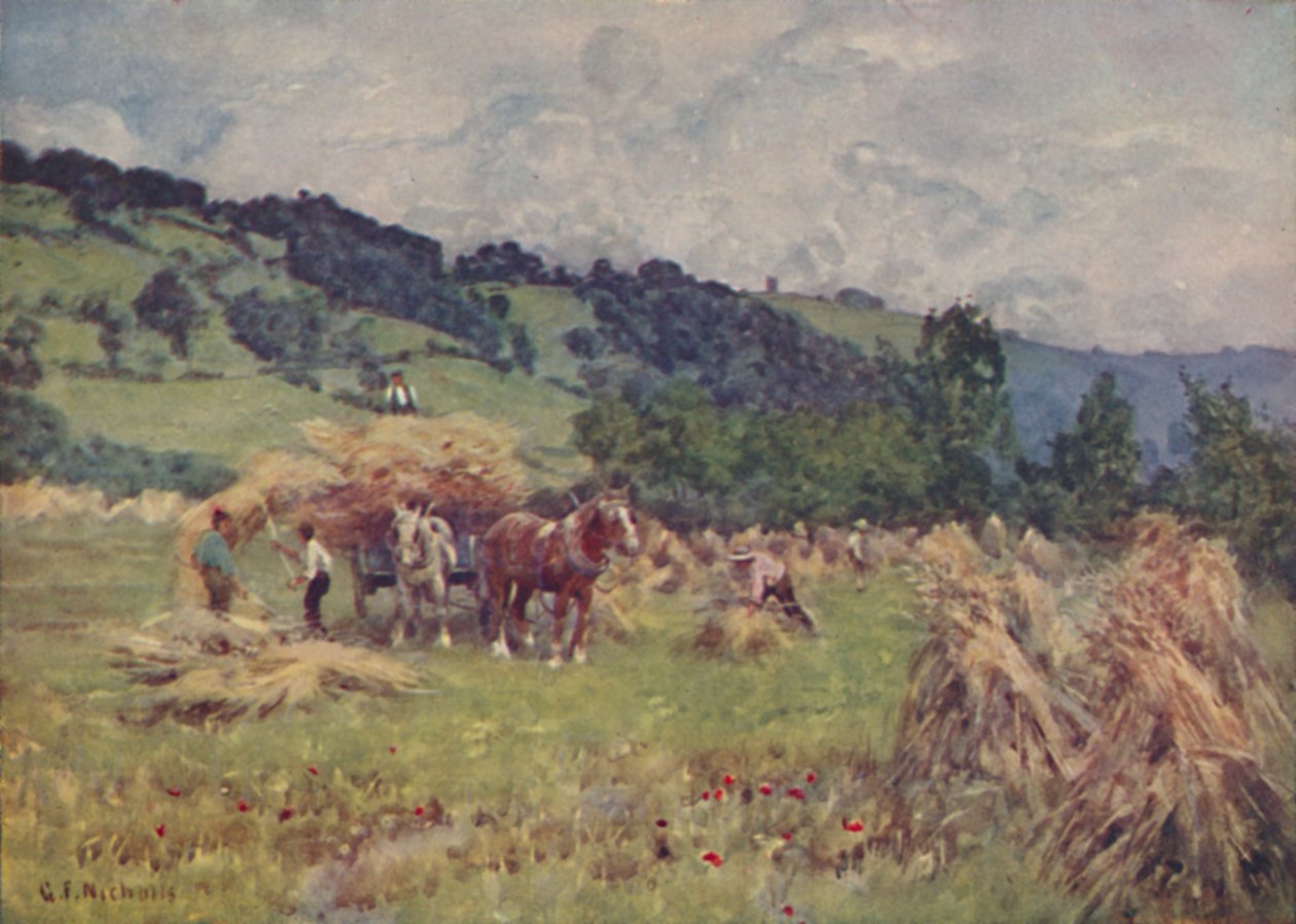 Viljapelto, 1910 tekijältä George Franck Nicholls
