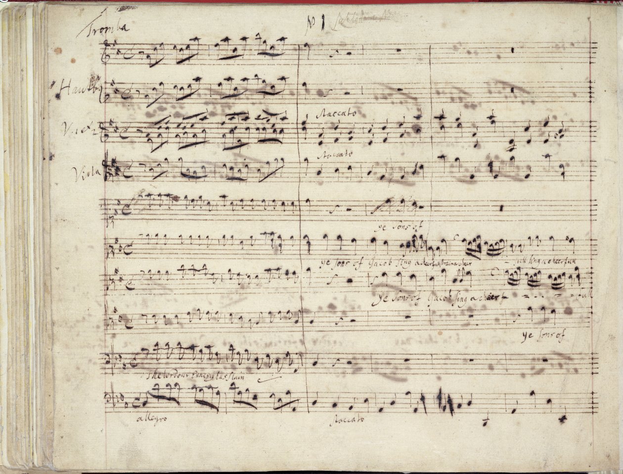 RM 20 E7 f.51v Toinen Händelin oratorion Esther käsikirjoituksen "Ye Sons of Jacob Sing a Cheer..." kahdesta sivusta. tekijältä George Frederick Handel