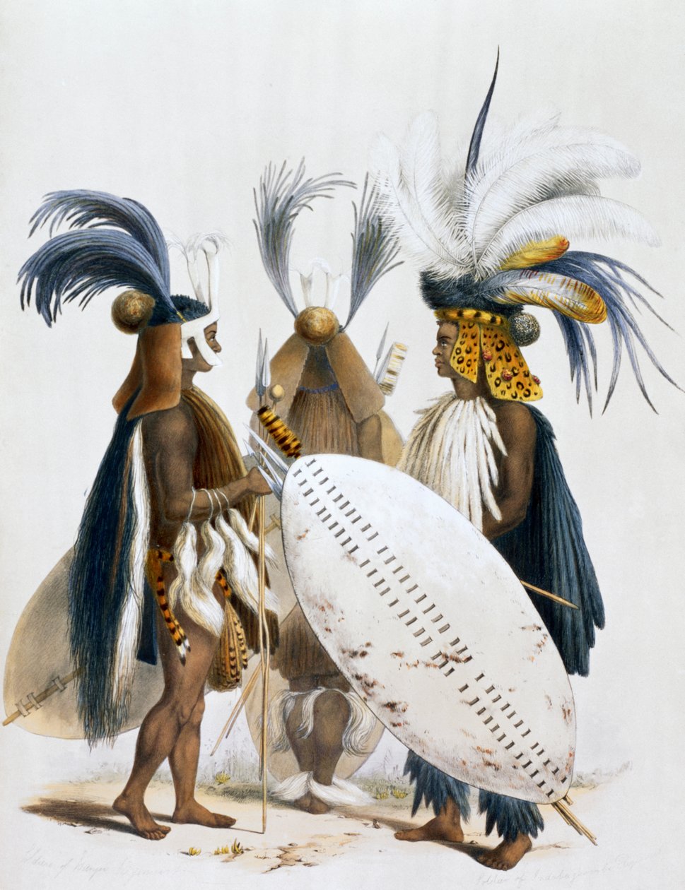 "Kuningas Pandan armeijan Zulu-sotilaat", 1849 tekijältä George French Angas