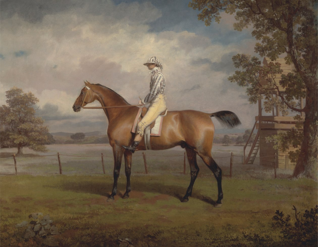 Kilpahevosen muotokuva, mahdollisesti naamio, Hamiltonin herttuan omaisuus, Jockey Upin kanssa tekijältä George Garrard