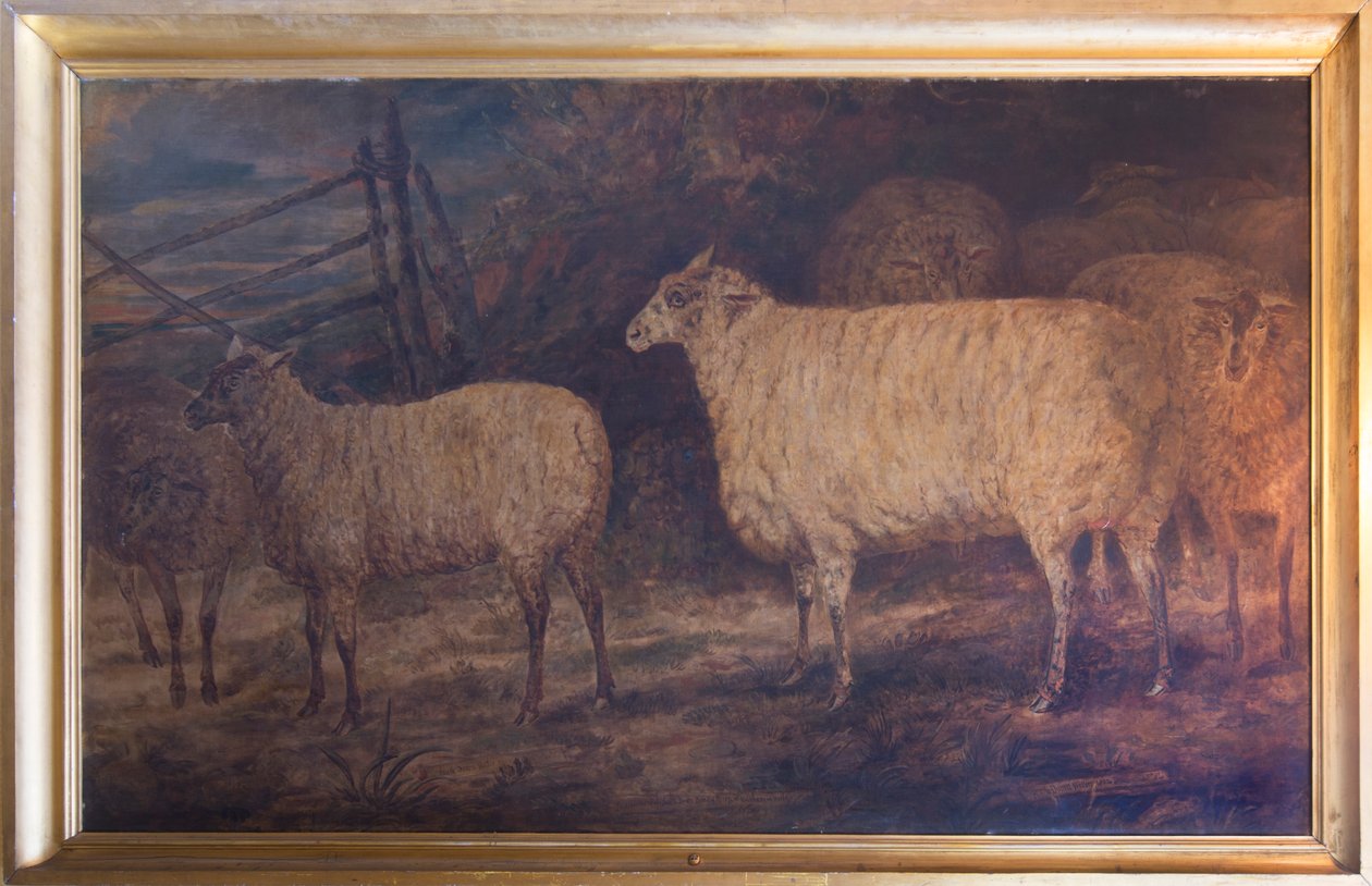 Eteläisen lammasrodun parantaminen Holkhamissa Norfolkissa, 1793-1807 tekijältä George Garrard