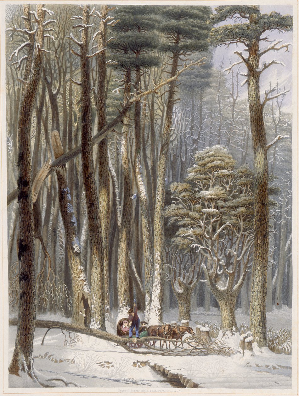Talvi, estetty matkailijoita mäntymetsässä, Harveys Scenes of the Primitive Forest of America, 1841 (käsinvärinen akvatinta) tekijältä George Harvey
