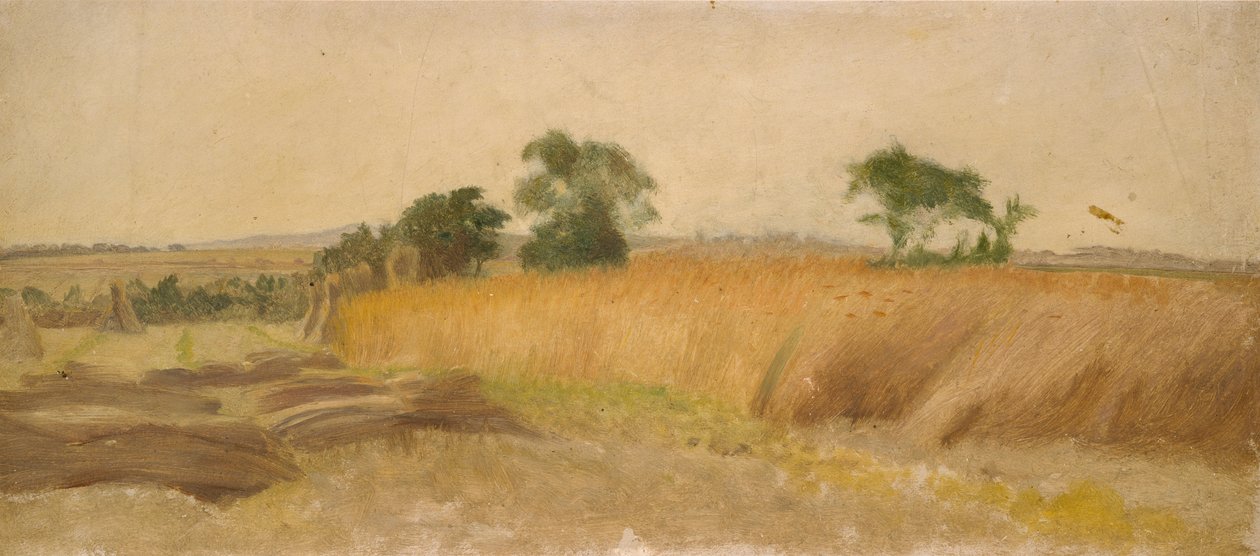 Tutkimus viljapellosta, 1800-luvun puoliväli tekijältä George Heming Mason