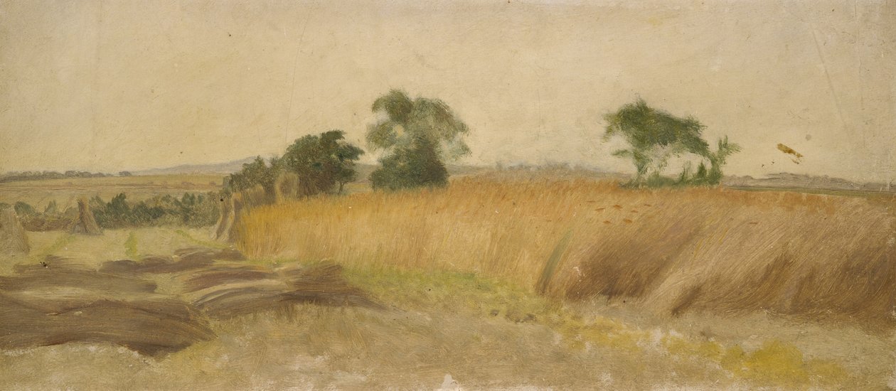 Tutkimus viljapellosta tekijältä George Hemming Mason