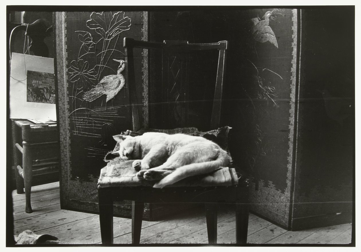 Kissa tuolilla Breitnerin studiossa Amsterdamissa tekijältä George Hendrik Breitner