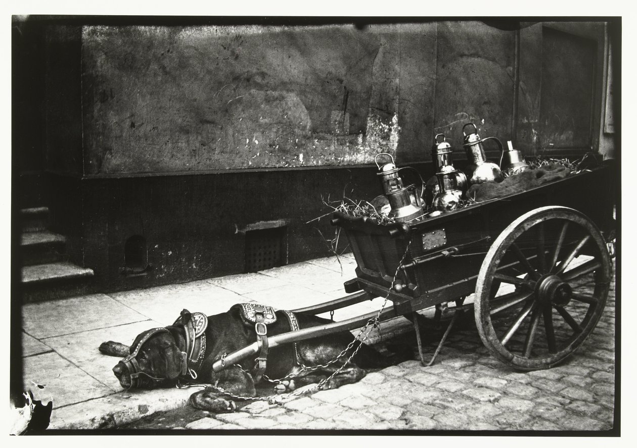 Vetävä koira venytettynä kärryjen eteen linja-autojen kanssa tekijältä George Hendrik Breitner