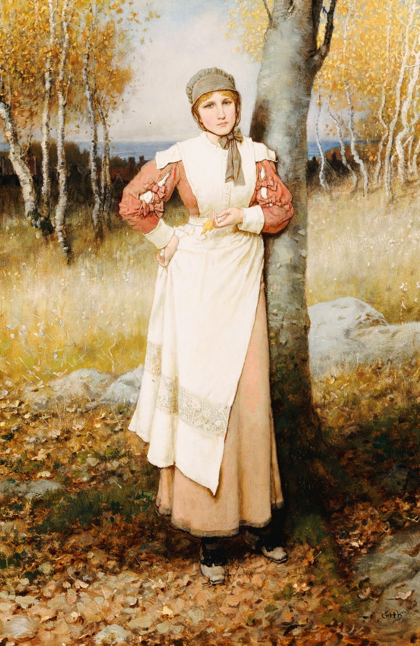 Ruusu Uudessa Englannissa tekijältä George Henry Boughton