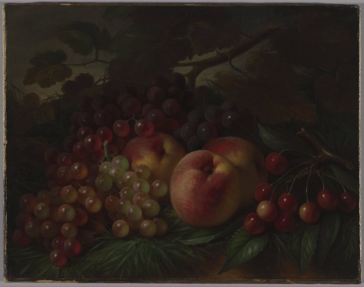 Persikat, viinirypäleet ja kirsikat, noin 1860-1870 tekijältä George Henry Hall