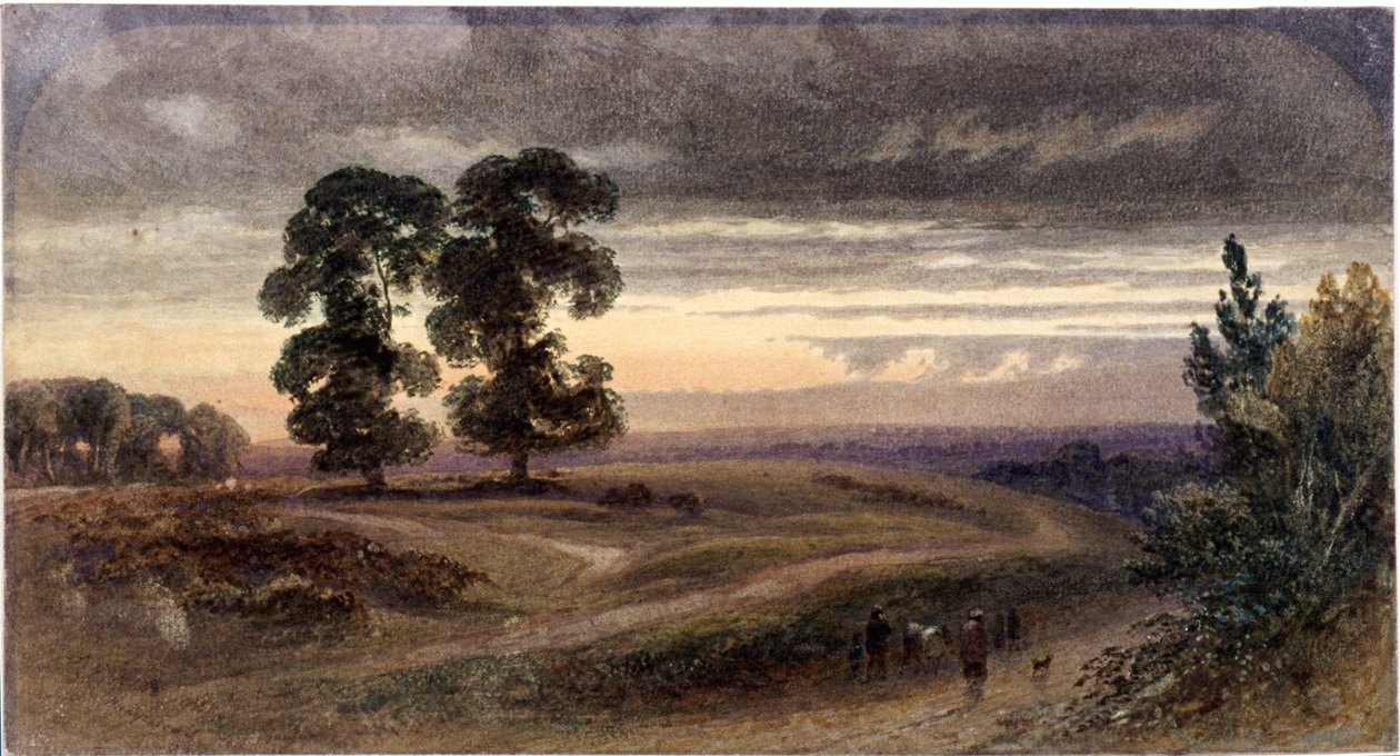 Yleiskuva Hampsteadista, Lontoosta, 1849 tekijältä George Henry Hine