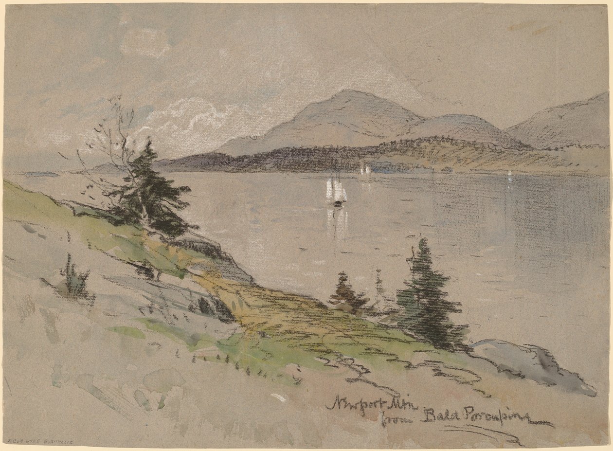 Newport Mountain Bald Porcupinelta tekijältä George Henry Smillie