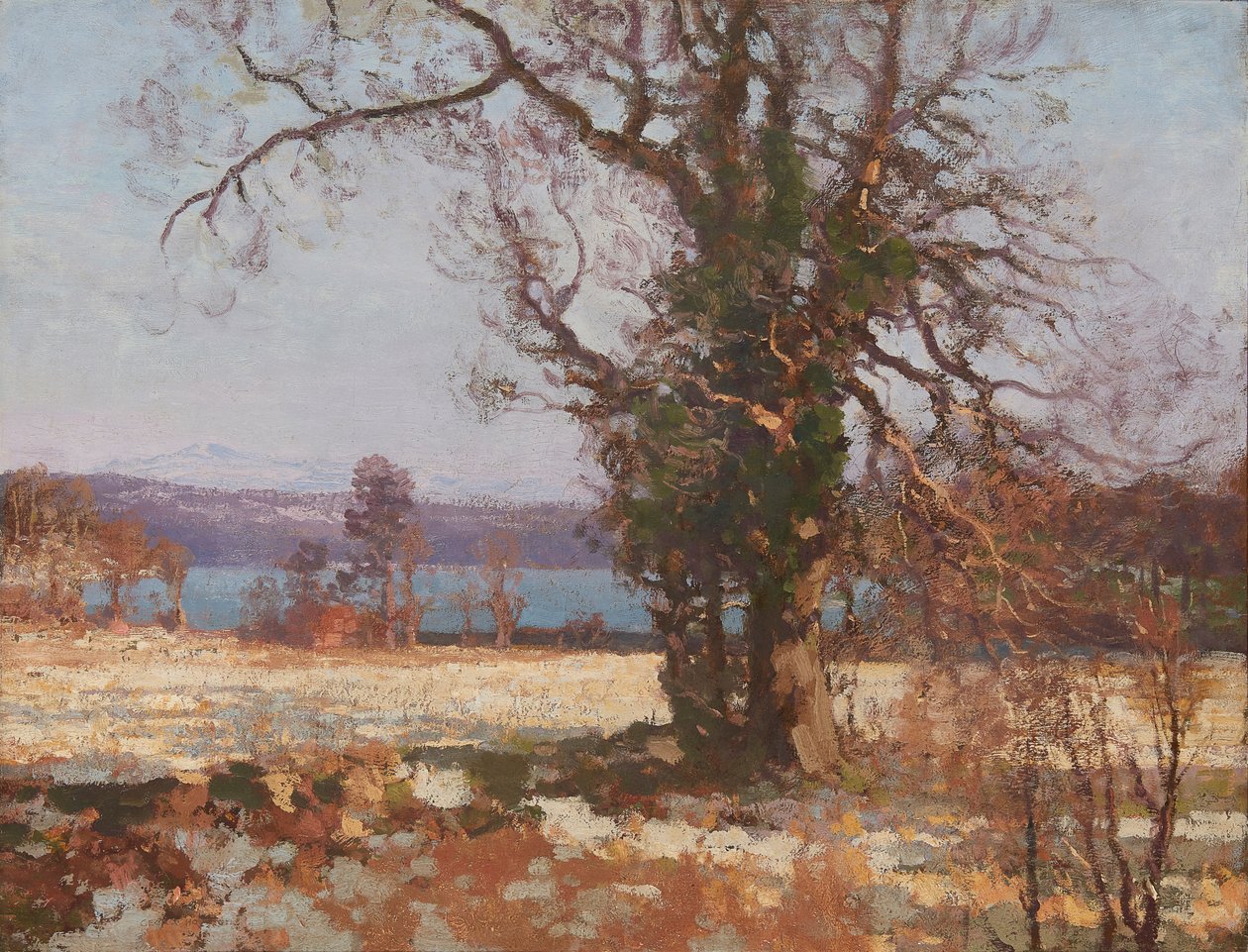 Winter Sunshine (öljy kankaalle) tekijältä George Houston