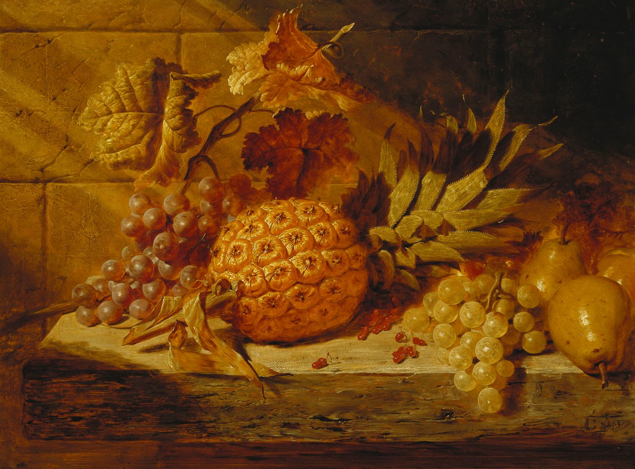 Mustavalkoiset viinirypäleet, päärynät, punaherukat ja ananas kielekkeellä, 1845 tekijältä George Lance