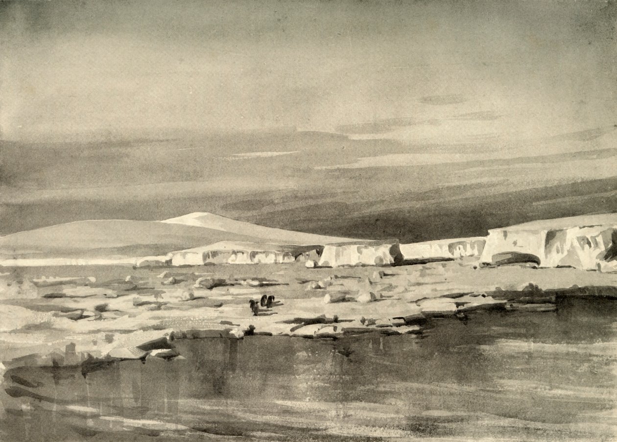Bay of Whales tai Balloon Bight, c1908, 1909. tekijältä George Marston