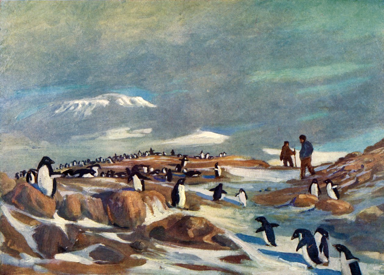 Pingviinien paluu, c1908, 1909. tekijältä George Marston
