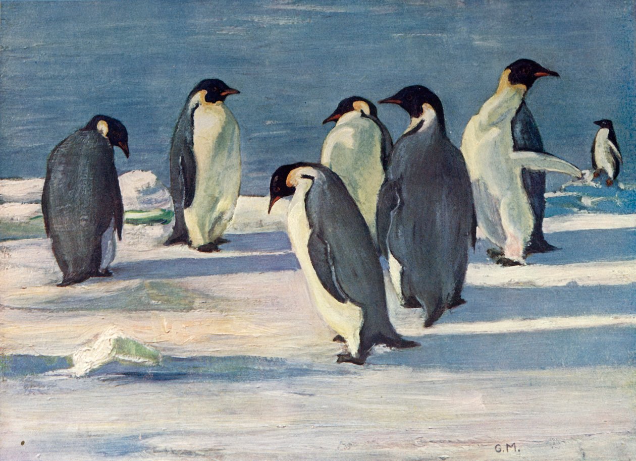 Keisarikonklaavi, c1908, 1909 tekijältä George Marston