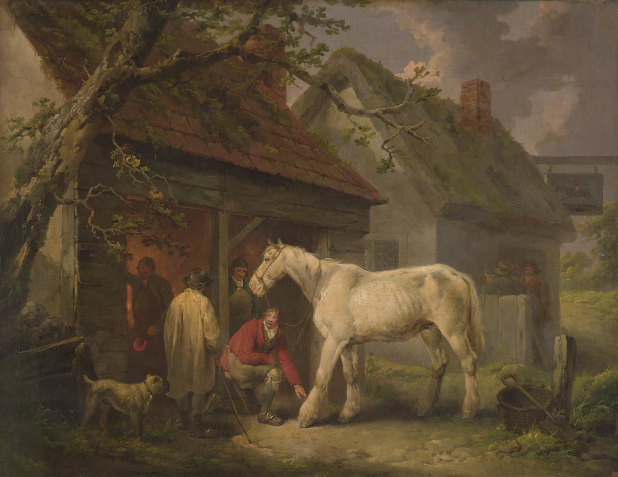 Farrier