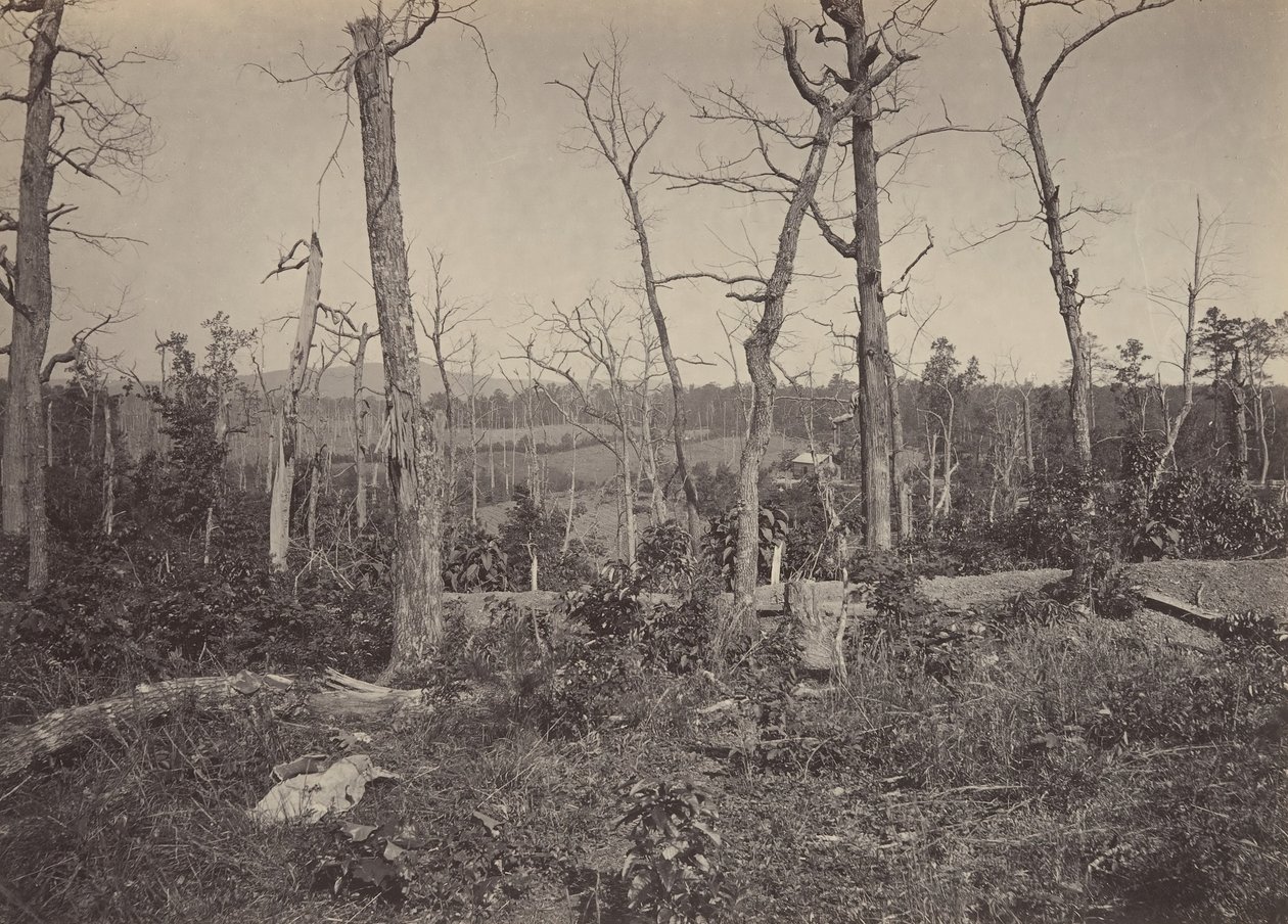 Resaccan taistelukenttä, Georgia nro 3, 1860-luku. tekijältä George N. Barnard
