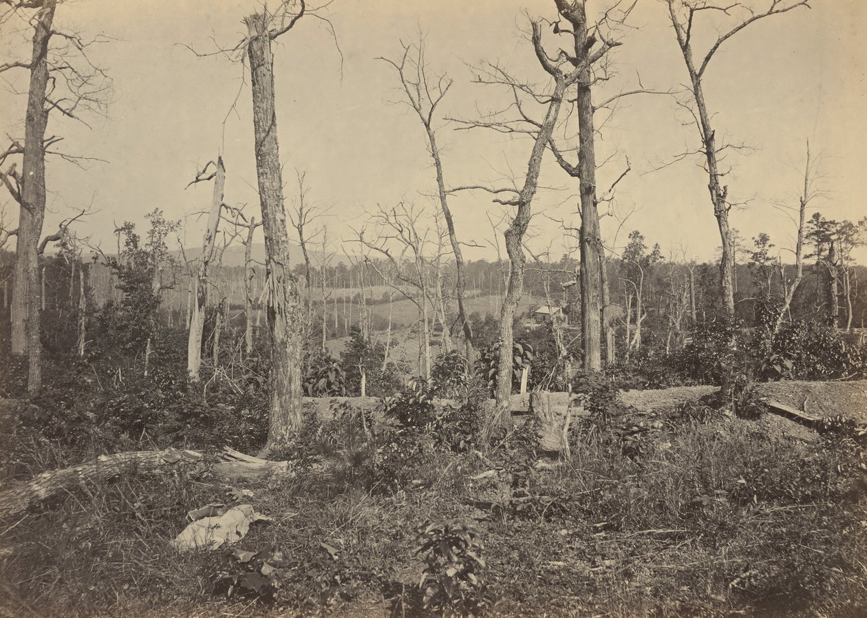 Resacan taistelukenttä, Georgia, N:o 3,1864 (kuva) (kuva) tekijältä George N. Barnard