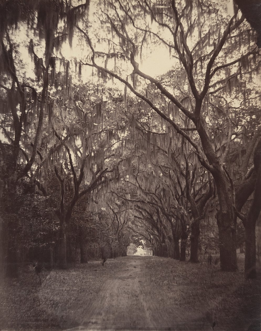 Bonaventuren hautausmaa, neljä mailia Savannahista, 1866. tekijältä George N. Barnard