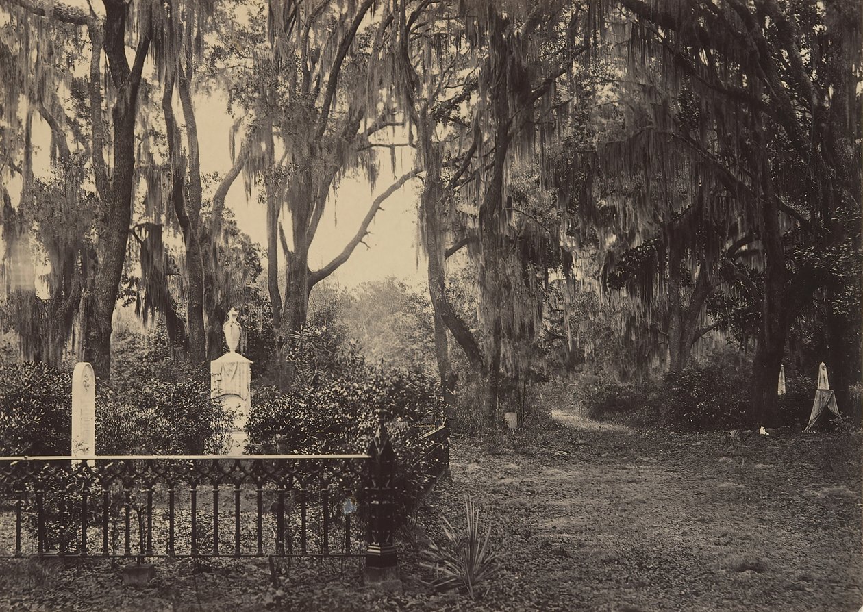 Bonaventure, Savannah, Georgia, 1860-luku. tekijältä George N. Barnard