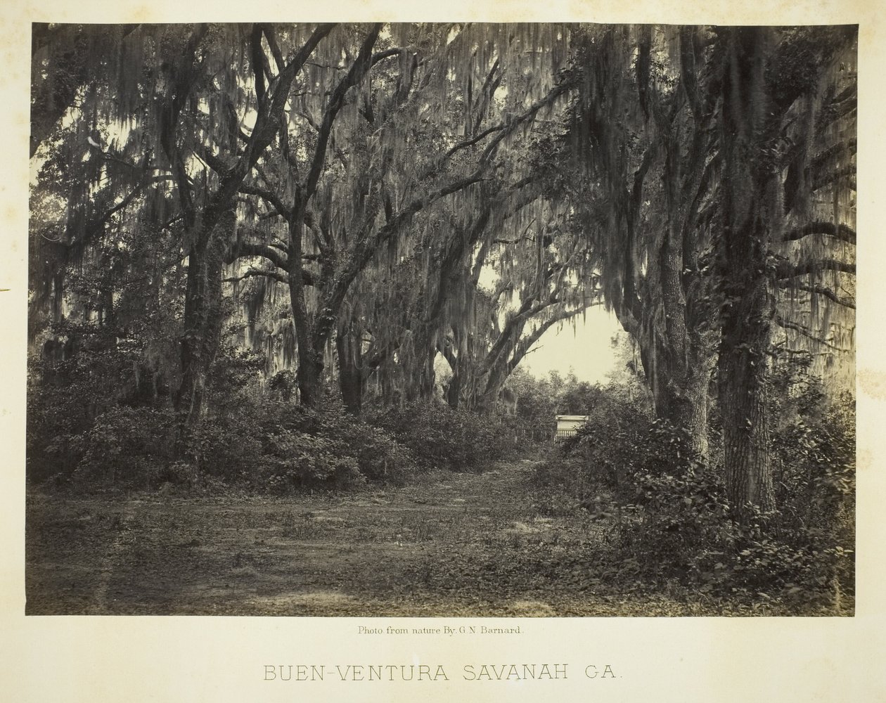 Buen-Ventura Savannah, Ga. tekijältä George N. Barnard