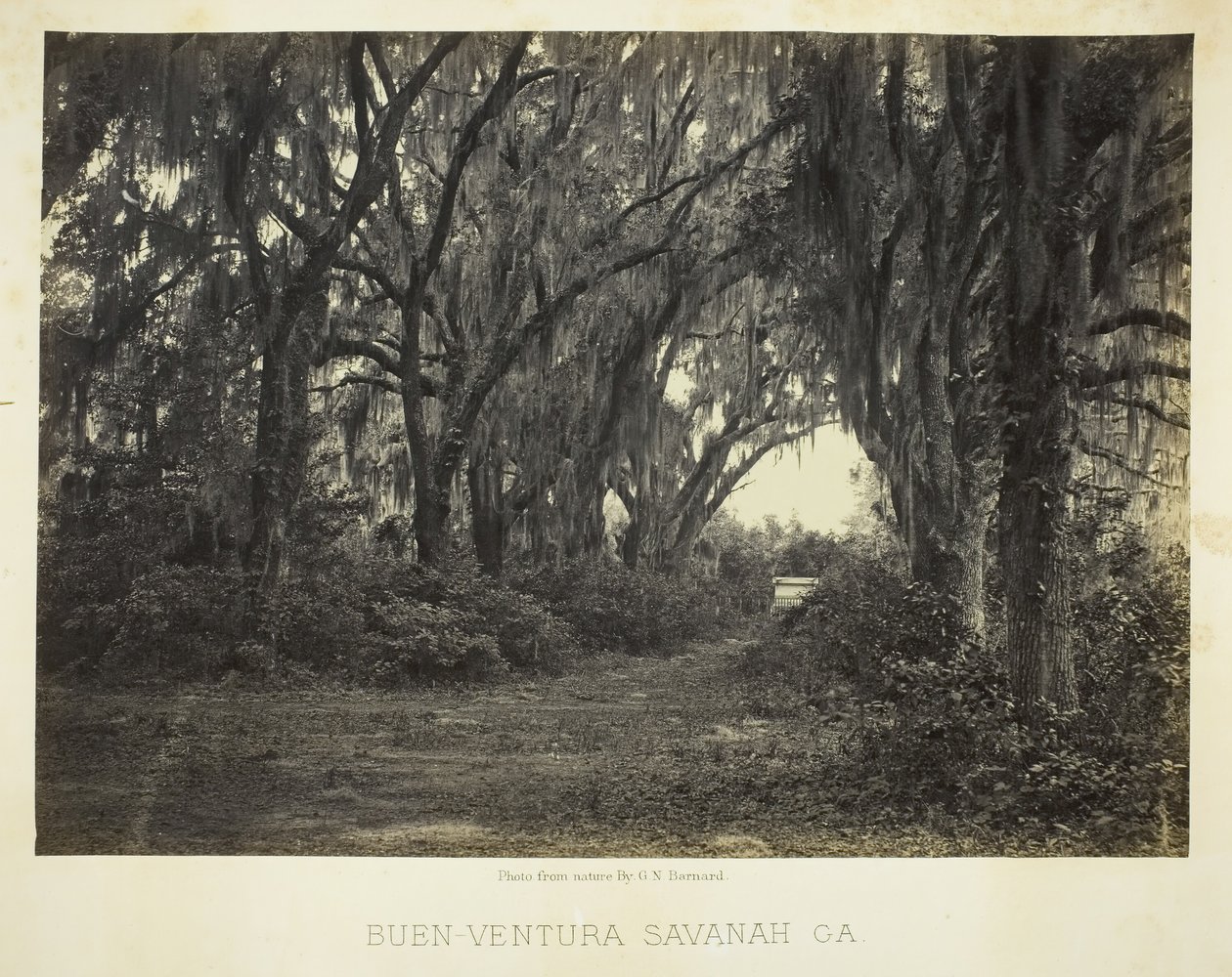Buen-Ventura Savannah, Ga., 1866. tekijältä George N. Barnard