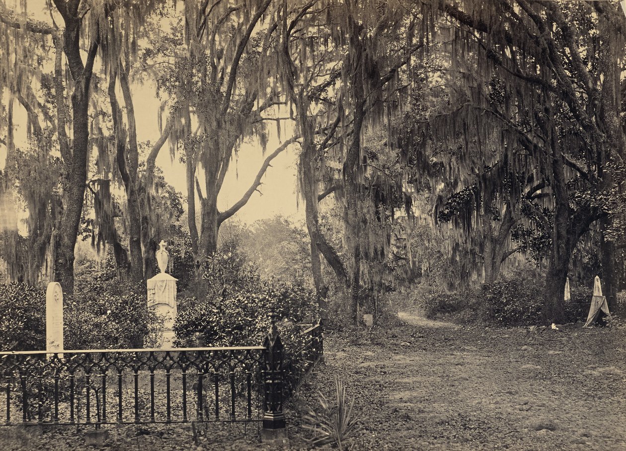 [Buen-Ventura, Savannah, Georgia] tekijältä George N. Barnard