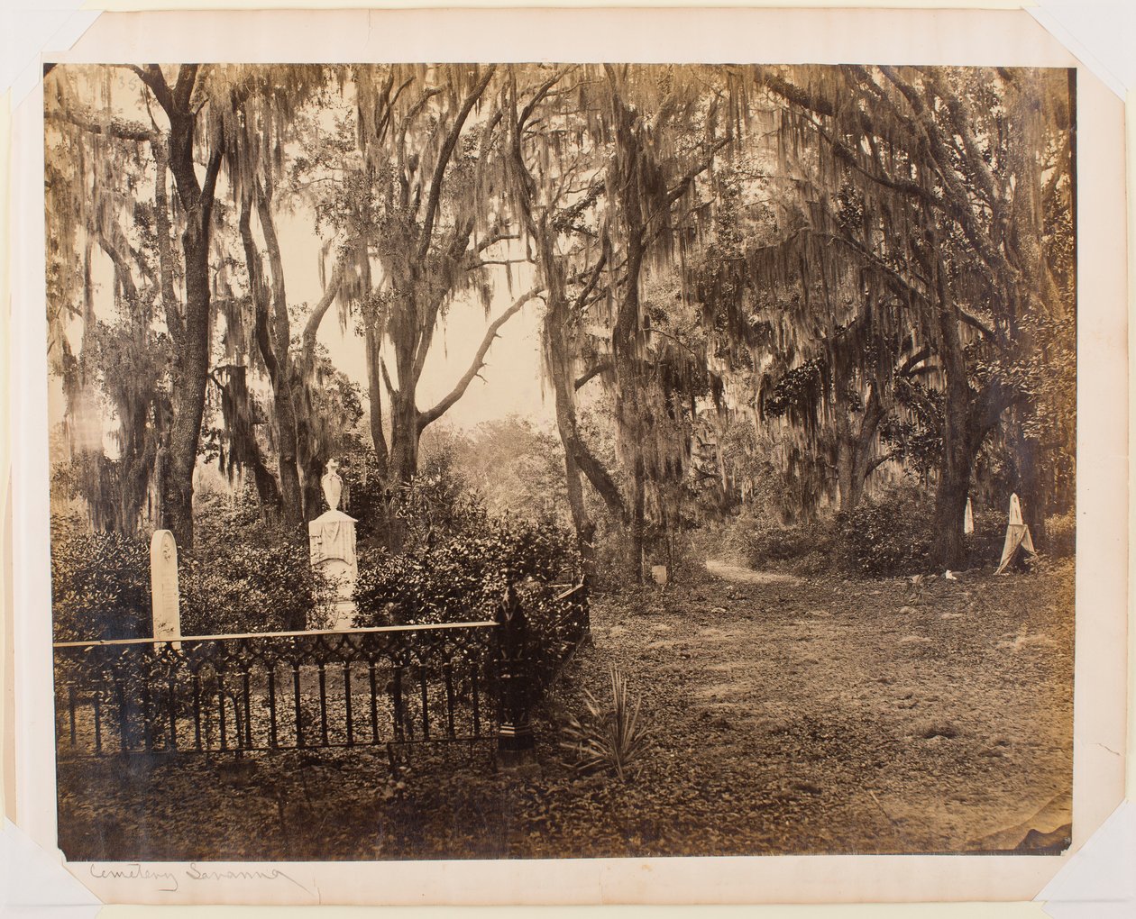Buen-Ventura, Savannah, Georgia tekijältä George N. Barnard