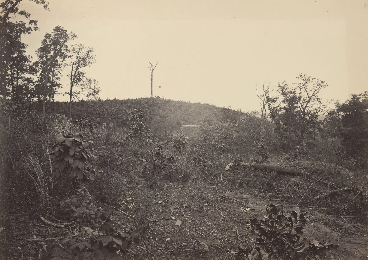 Pine Mountain, 1860-luku. tekijältä George N. Barnard