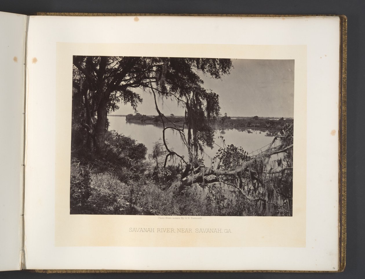 Savannahjoki lähellä Savannahia, Georgia tekijältä George N. Barnard