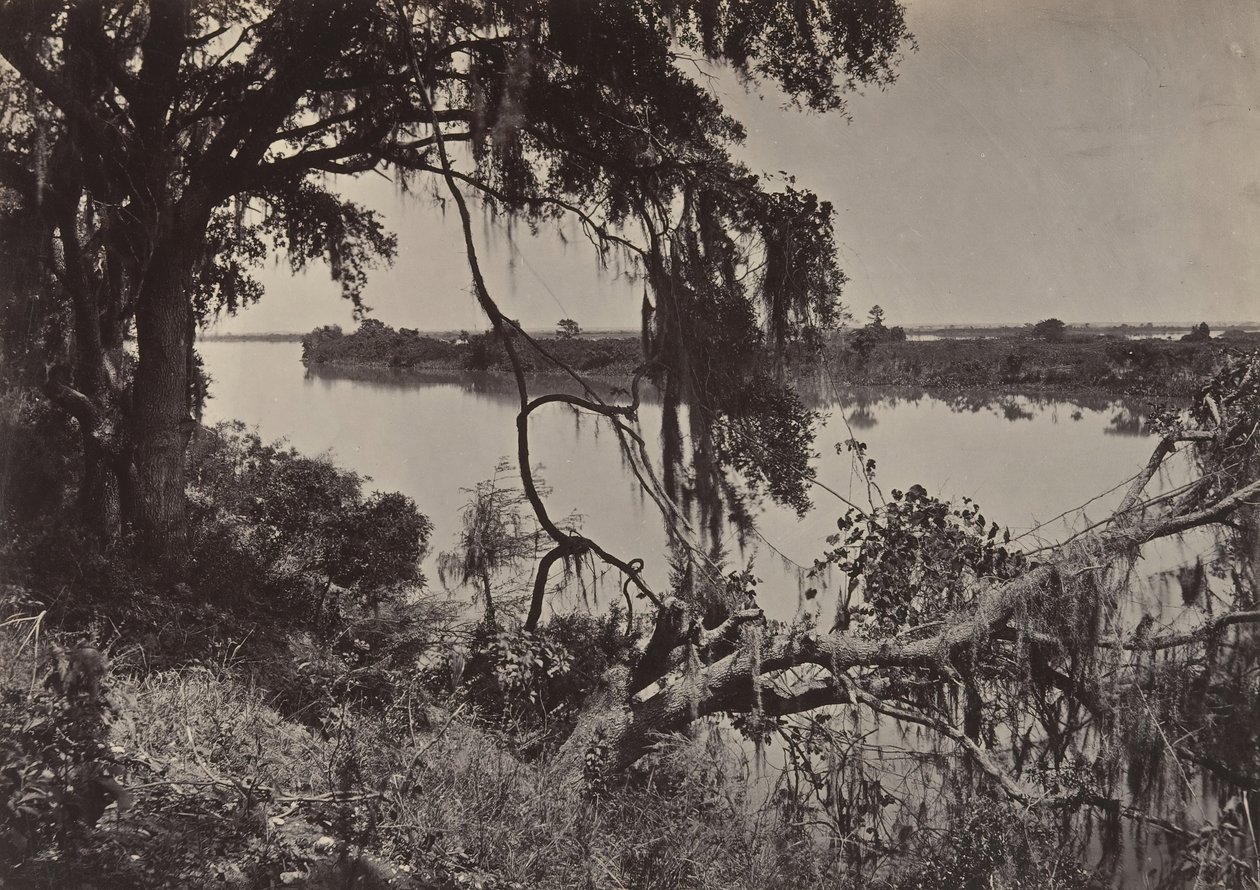 Savannah River, lähellä Savannahia, Georgia, 1860-luku. tekijältä George N. Barnard