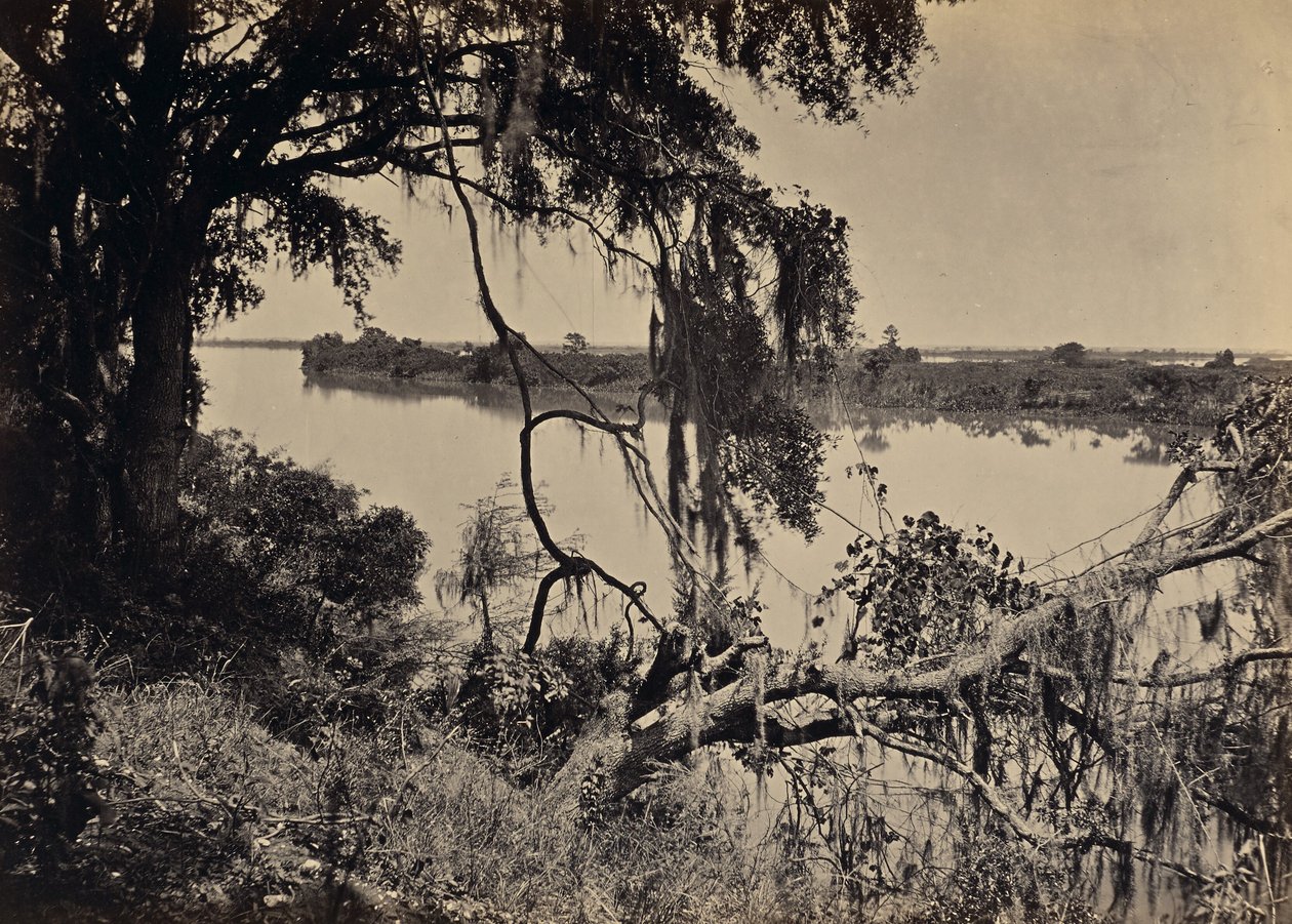 [Savannah River lähellä Savannahia Georgiassa] tekijältä George N. Barnard