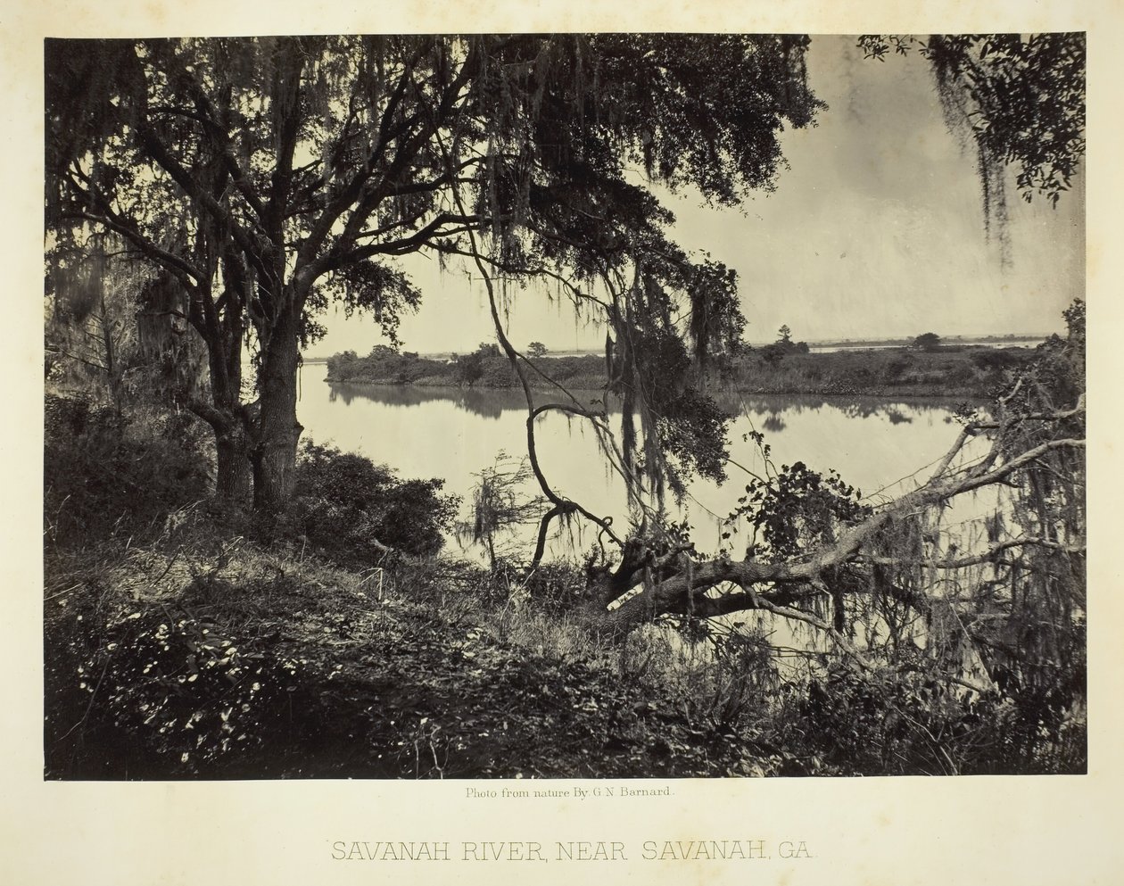 Savannah River, lähellä Savannahia, GA, 1866. tekijältä George N. Barnard