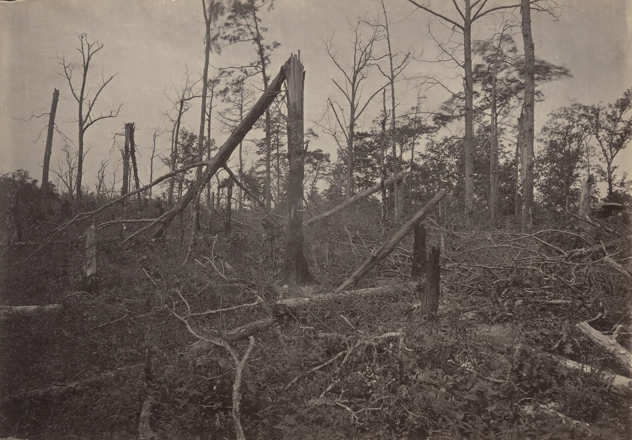 Hell Hole New Hope -kirkko, Georgia, 1860-luku. tekijältä George N. Barnard