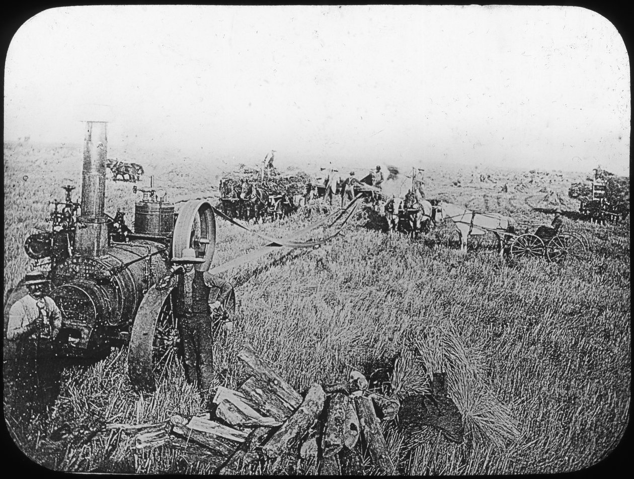 Sadonkorjuukohtaus Pohjois-Amerikan preerialla, 1800-luvun loppu tai 1900-luvun alku tekijältä George Philip and Son Ltd
