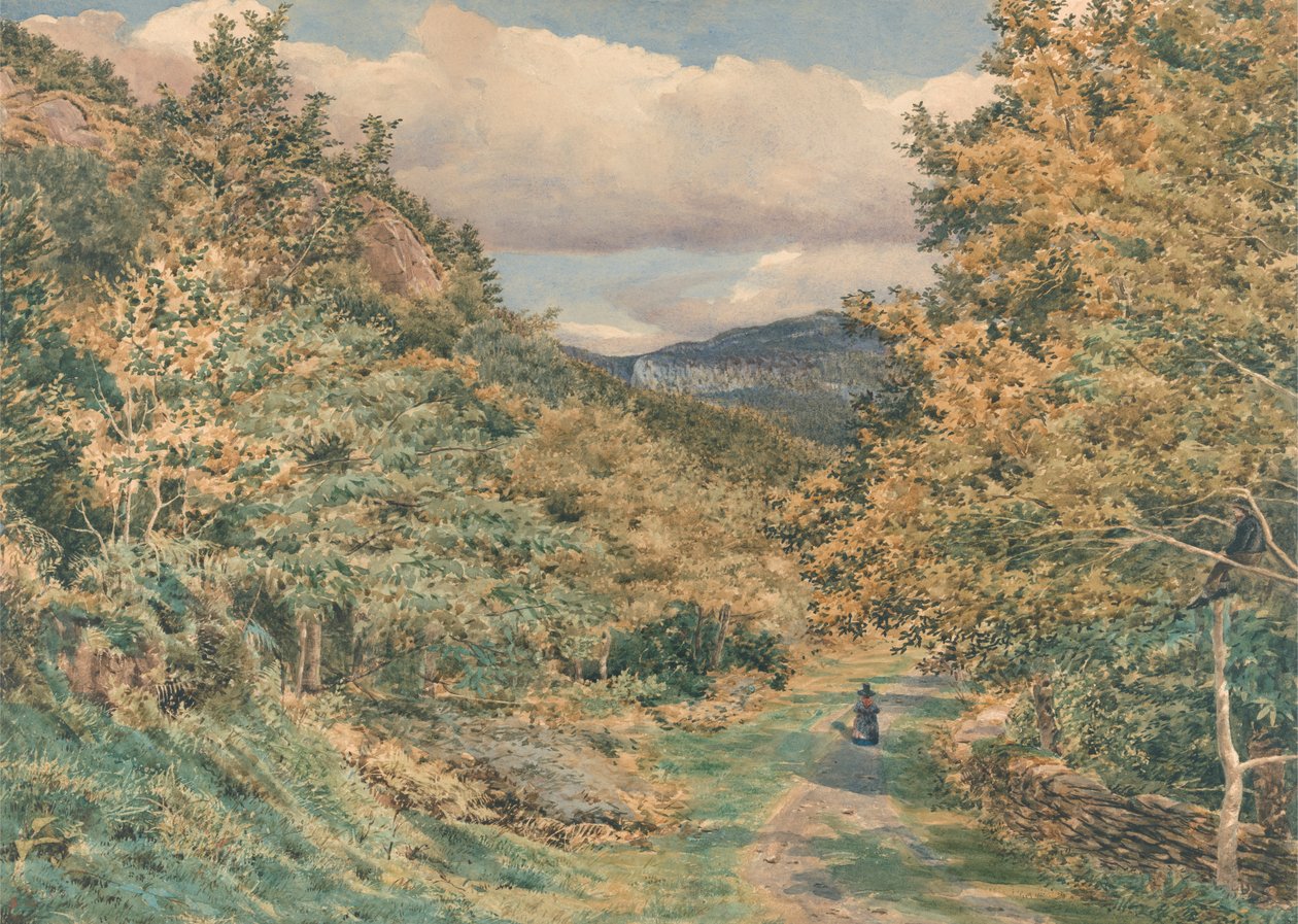 Uma estrada perto de Bettws-y-Coedfinnish tekijältä George Price Boyce