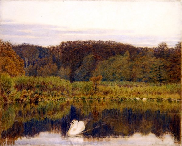 Abinger Mill Pond, Surrey - Aamu myöhään syksyllä (akvarelli paperille) tekijältä George Price Boyce