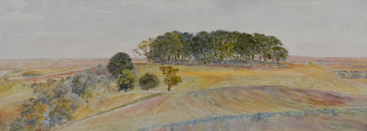 Yksi Wittenham Clumps tai Sinodun Hills, Berkshire, n. 1870-90 (akvarelli) tekijältä George Price Boyce