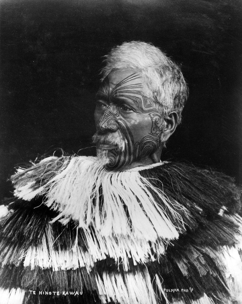Merimetsojen synodi, n. 1860-1871 tekijältä George Pulman