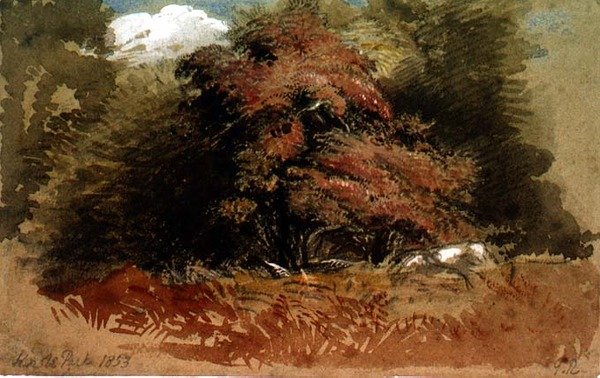 Knole Park tekijältä George Richmond