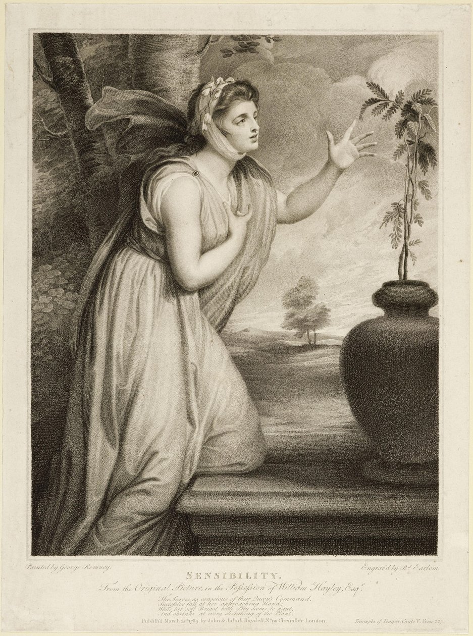 Herkkyys tekijältä George Romney