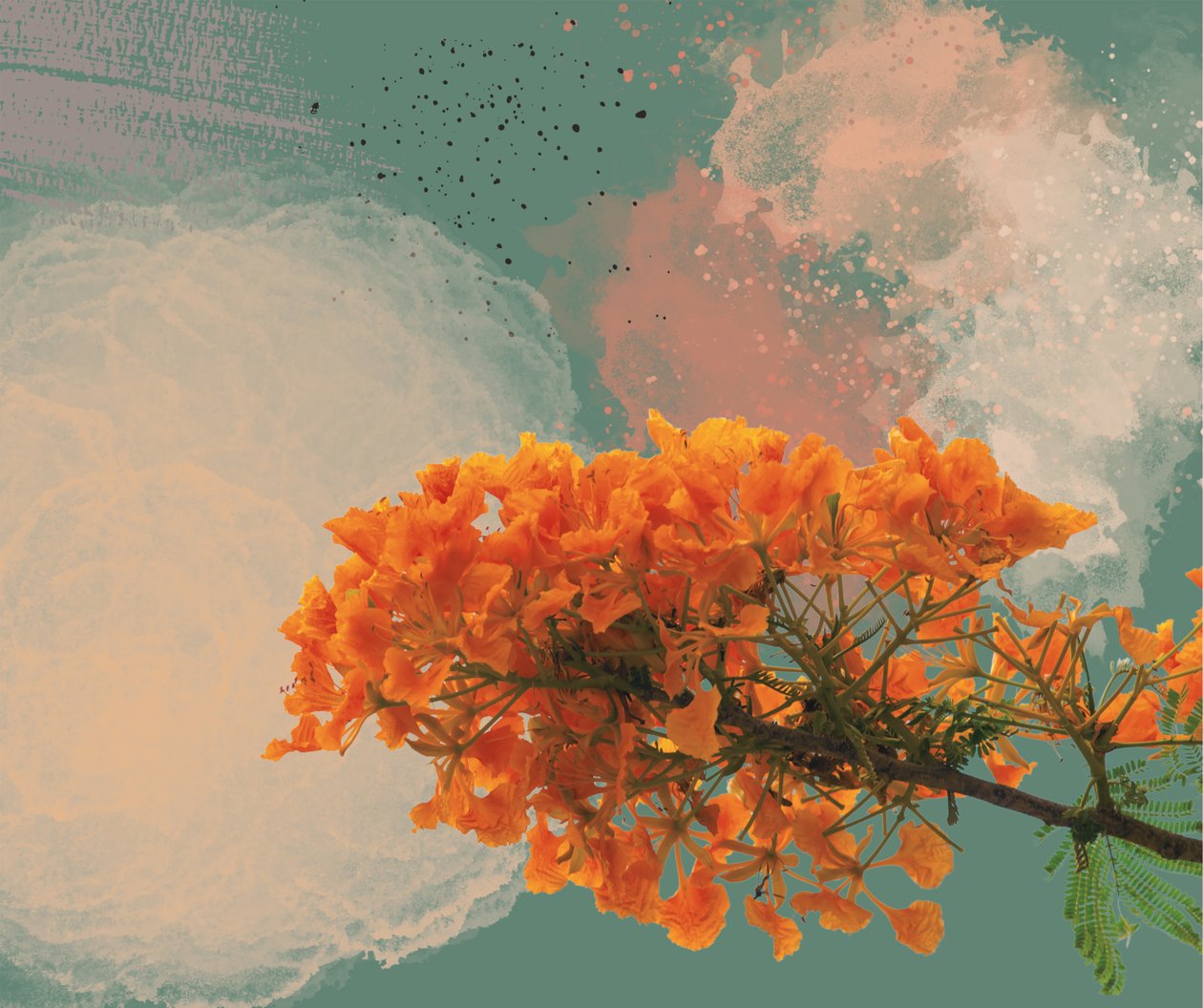 Royal Poinciana "El Flamboyan" (digitaalinen) tekijältä George Rosaly